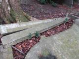 image of grave number 923228